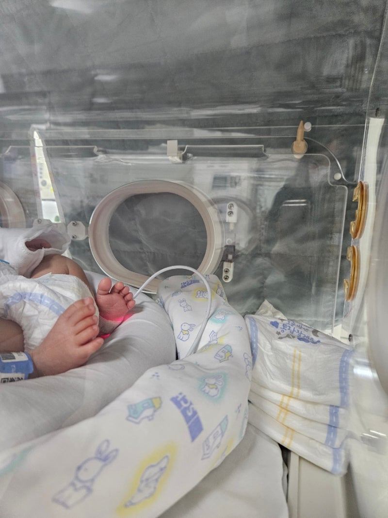 출산 직후 NICU(신생아 중환자실) 15일간의 기록: 태어나자마자 입원 일과성빈호흡 흡인패혈증
