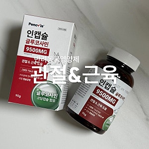 페노비스 인캡슐 글루코사민 후기 l 강아지 고양이 관절 영양제 슬개골 탈구 반려동물 관리