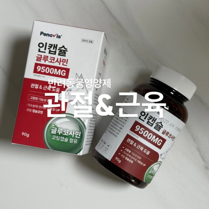 페노비스 인캡슐 글루코사민 후기 l 강아지 고양이 관절 영양제 슬개골 탈구 반려동물 관리