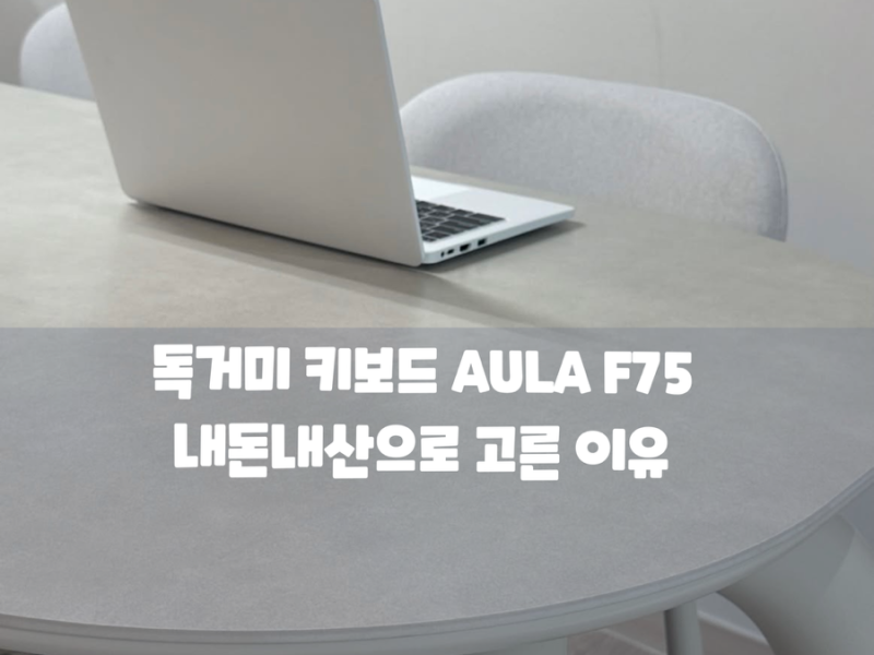 요즘 난리 난 독거미 키보드 AULA F75 내돈내산으로 고른 이유