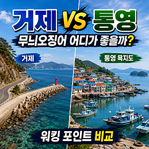 거제·통영 무늬오징어 어디가 더 좋을까?｜워킹 포인트·접근성·시즌 비교
