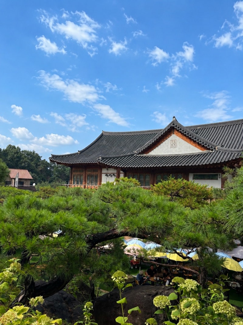 혜경궁베이커리 : 화성대형카페 애견동반 주차 | 빵 맛있는 대형카페