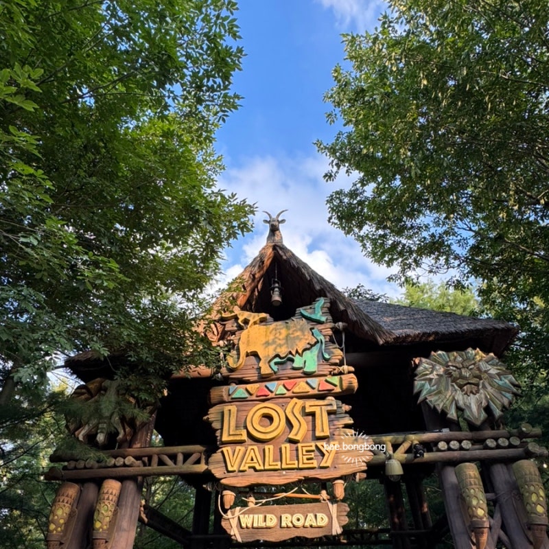 Everland Night Pass Course Tips: Firefly Festival, Night Safari - Great Places for Kids