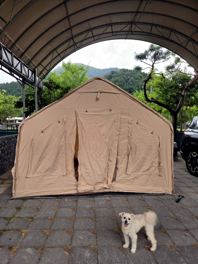 가평 애견캠핑장 개별 울타리, 넓은 타프로 우중캠 걱정 끝. 아워포레스트 포레스트14번 후기