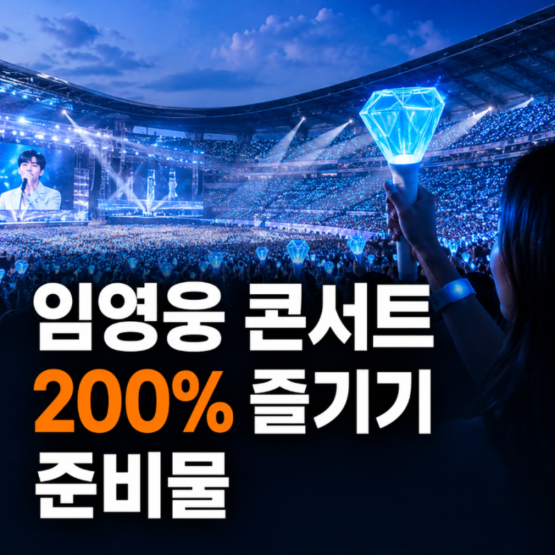 임영웅 콘서트 200% 즐기기, 준비물부터 떼창까지 미리 알고 가세요