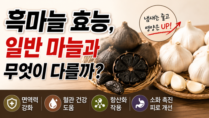 흑마늘 효능, 일반 마늘과 무엇이 다를까?