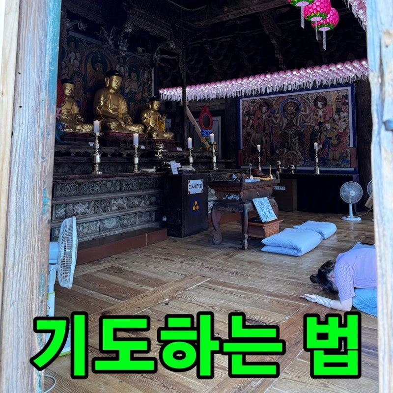 [부처님께 기도하는 법] 절 예절 완벽 가이드 "이렇게 기도해야 이루어집니다"