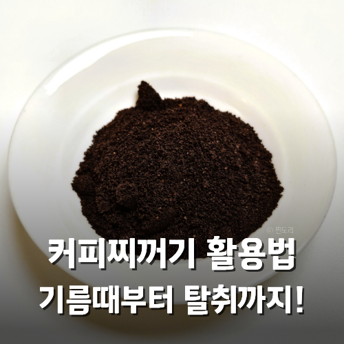 커피찌꺼기 활용법 3가지 말려서 쓰는 이유 기름때 제거 탈취까지