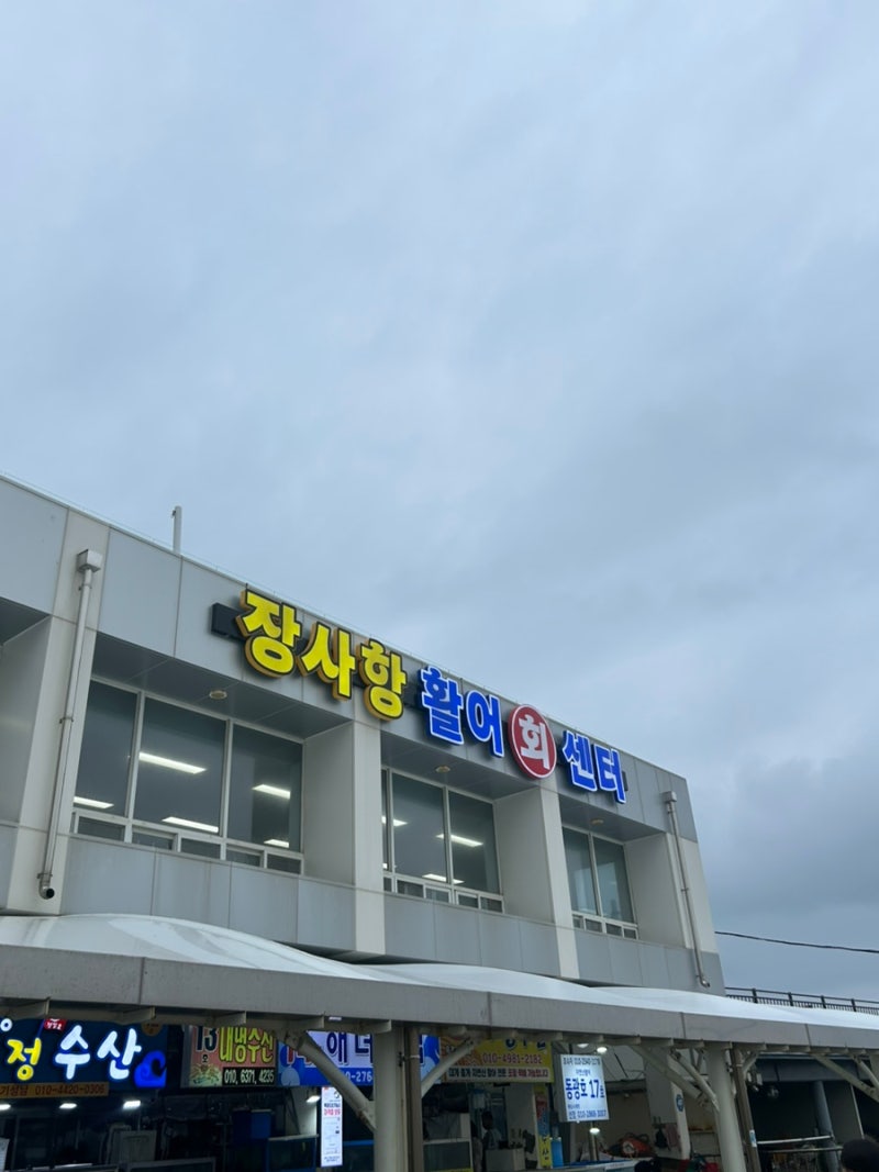 [속초 맛집] 장사항활어회센터｜회 포장 서비스 푸짐했던 솔직 후기