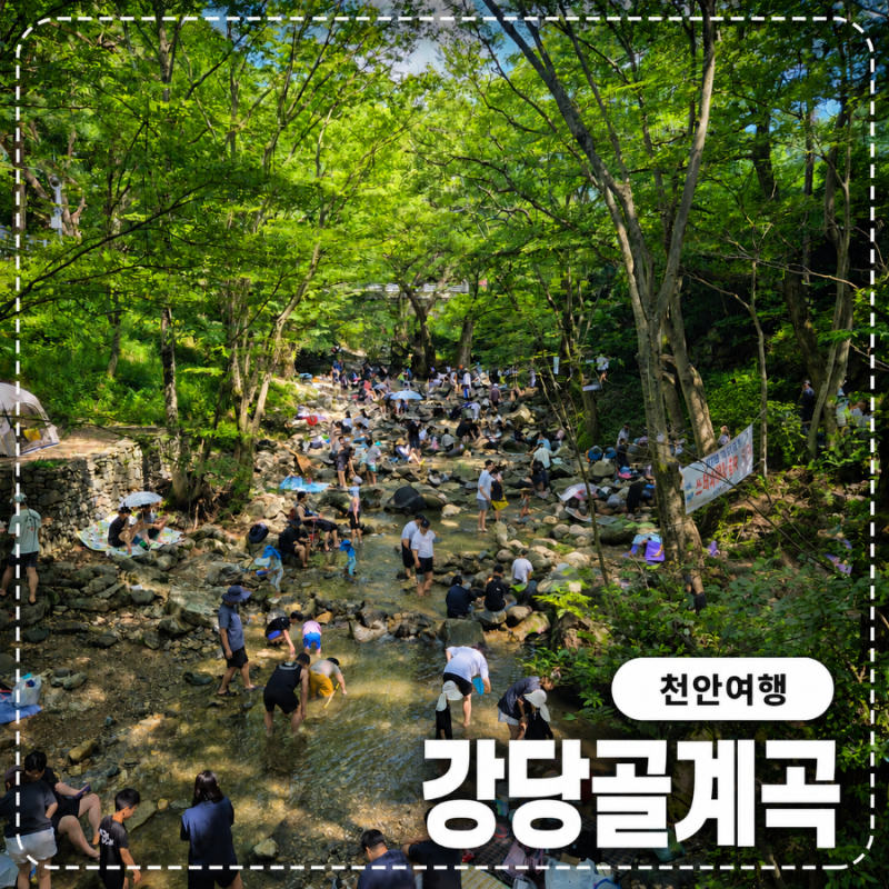 [천안여행]천안 근교 여름 데이트 추천(여름철물놀이)｜여자친구와 다녀온 아산 강당골계곡 ....