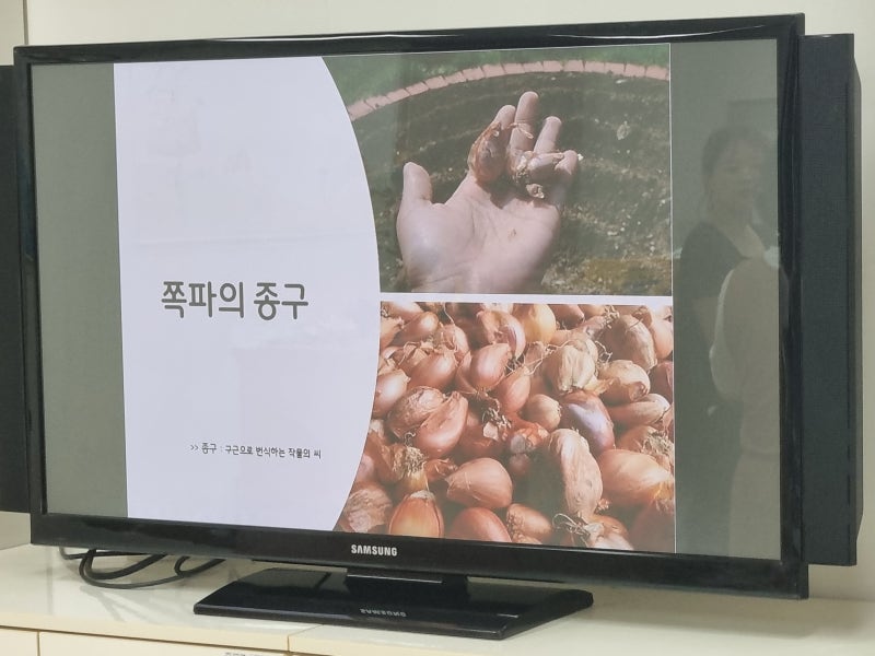 #87 2026년 학교텃밭10 스쿨팜 2학기 텃밭로터링,가을작물알아보기,무우/쪽파/배추/상추 파종