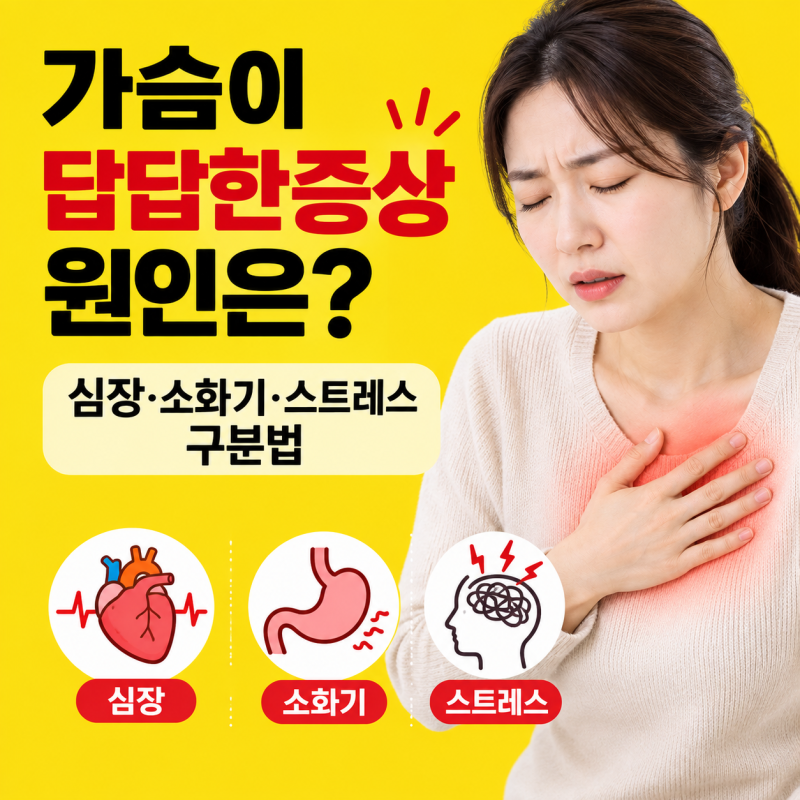 가슴이답답한증상 원인은? 심장·소화기·스트레스 구분법