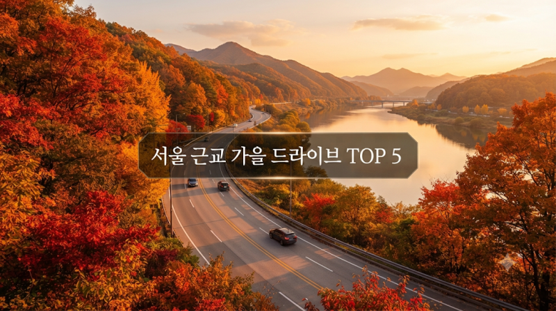 서울 근교 가을 드라이브 코스 TOP 5 — 당일치기 추천 2026