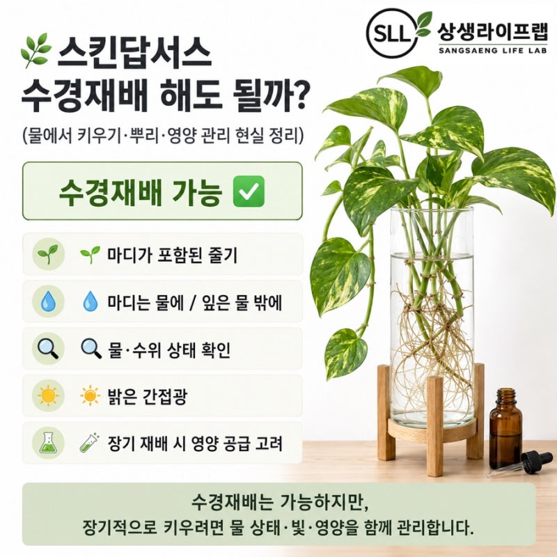 스킨답서스 수경재배 해도 될까?(물에서 키우기·뿌리·영양 관리 현실 정리)