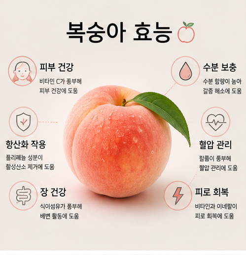 복숭아 껍질째 vs 깎아서, 어떻게 먹어야 할까? 놓치기 쉬운 차이