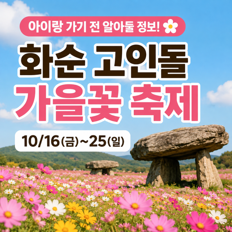 화순 고인돌 가을꽃 축제｜아이랑 가기 전 알아둘 정보 총정리