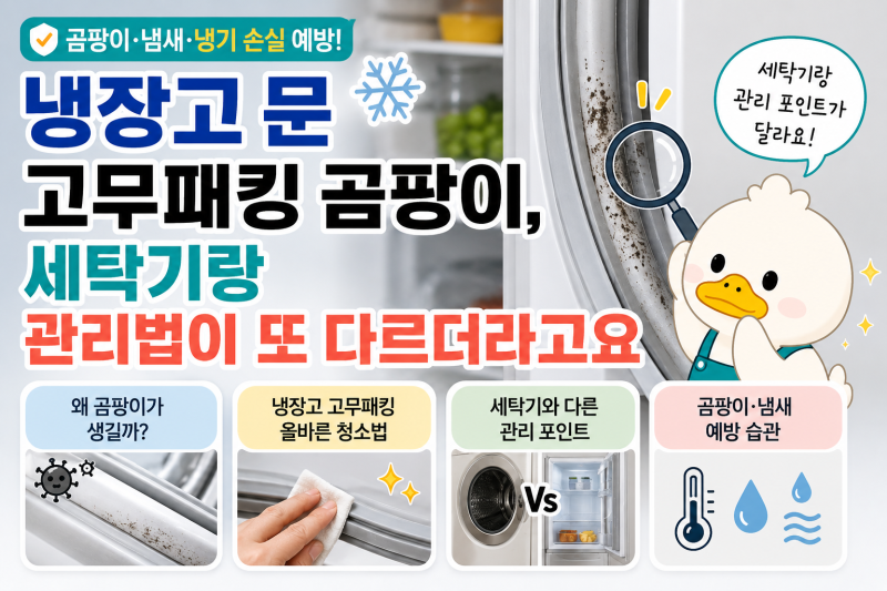 냉장고 문 고무패킹 곰팡이, 세탁기랑 관리법이 또 다르더라고요