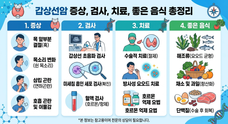 갑상선암 증상, 검사, 치료, 좋은음식까지 총정리 - 강동서울의원 건강검진센터
