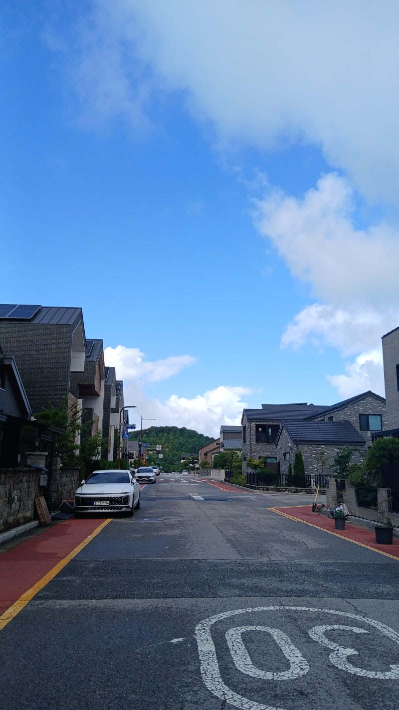 비봉습지공원.