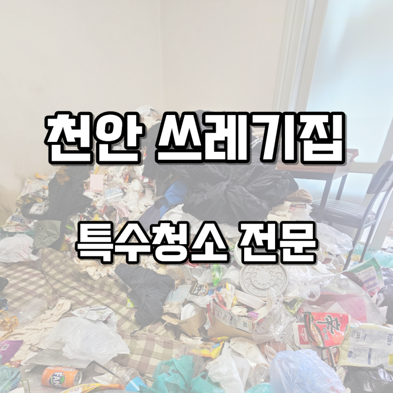 천안 아파트 쓰레기집 청소, 바닥을 가득 채운 생활쓰레기를 정리한 현장