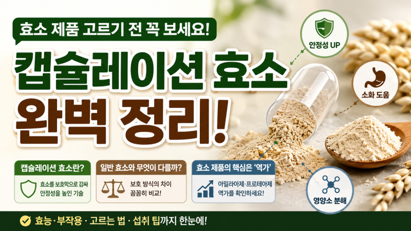 캡슐레이션 효소란? 일반 효소와 차이부터 효능·부작용까지 정리
