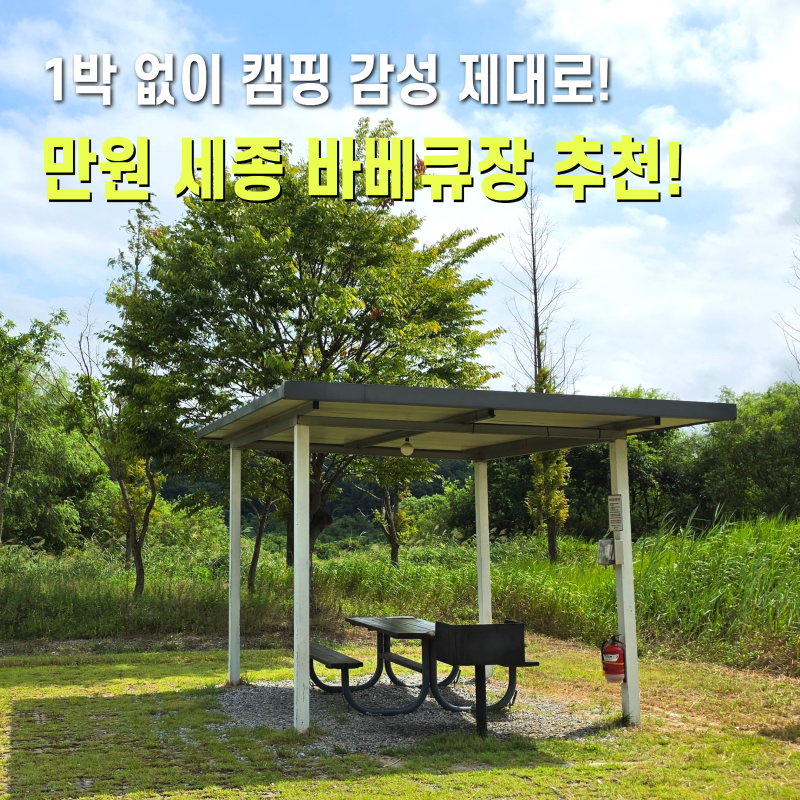 세종 바베큐장 대전근교 합강 캠핑장 예약 당일 바베큐준비물 주말에뭐하지