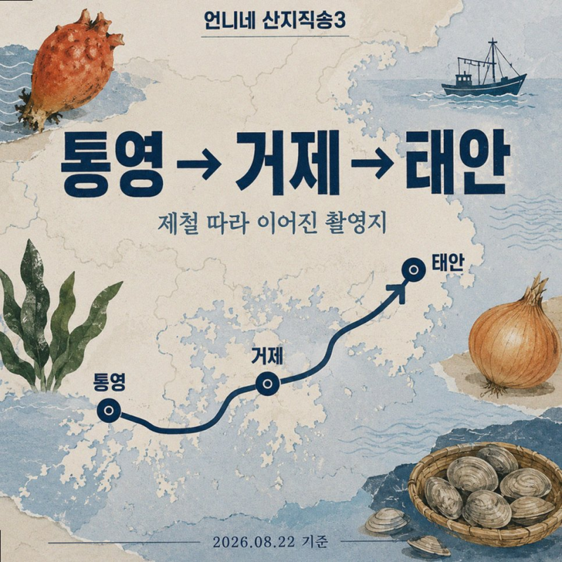 조정석 언니네 산지직송3 태안 바지락 조업 텐션 폭발 현장 (예능리뷰)