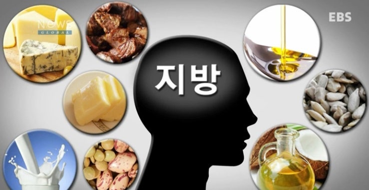 돼지기름·소기름 몸에 나쁘다? 요즘 다시 주목받는 이유, 좋은 기름 총정리