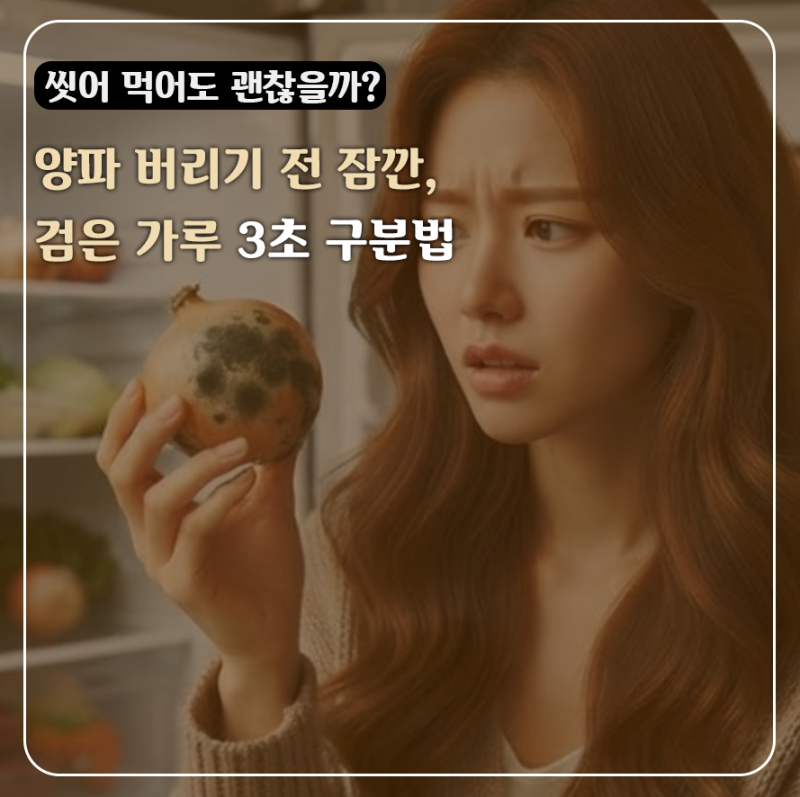 냉장고 속 양파 껍질에 검은 가루 생겼다면, 곰팡이일까 아닐까? 먹기 전 3초만 확인해보세요....