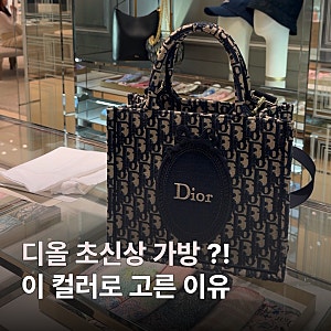 여자 디올 가방 추천｜초신상 북 토트 스트랩 백 솔직후기