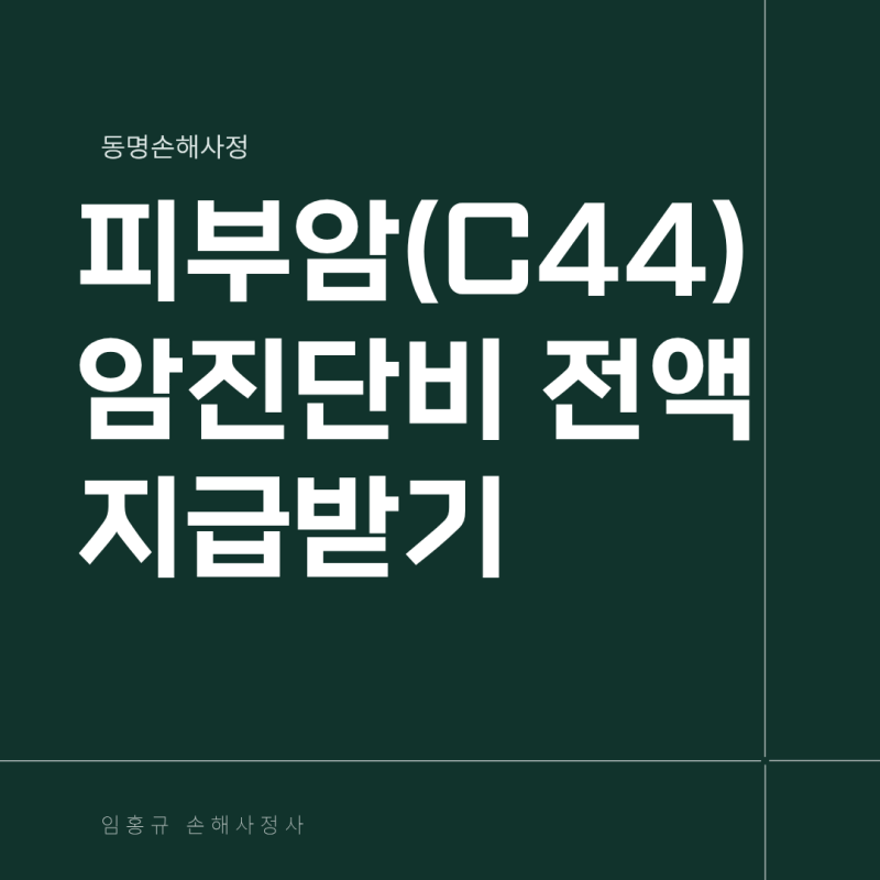 피부암(C44) 일반암진단비 지급받기-악성 흑색종 vs 기저세포암