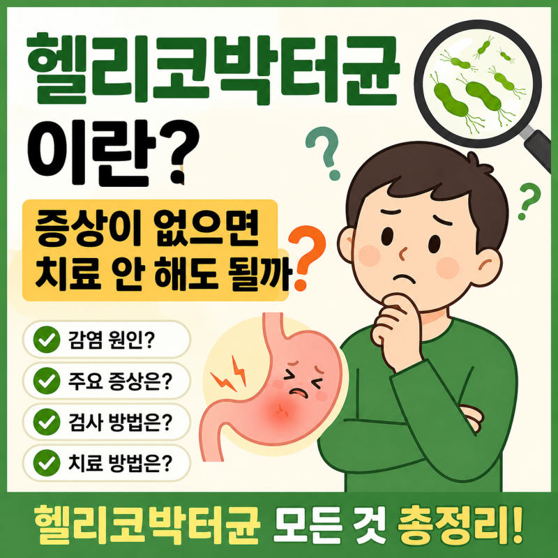 헬리코박터균이란? 증상이 없으면 치료 안 해도 될까? 감염 원인부터 검사·치료까지 총정리