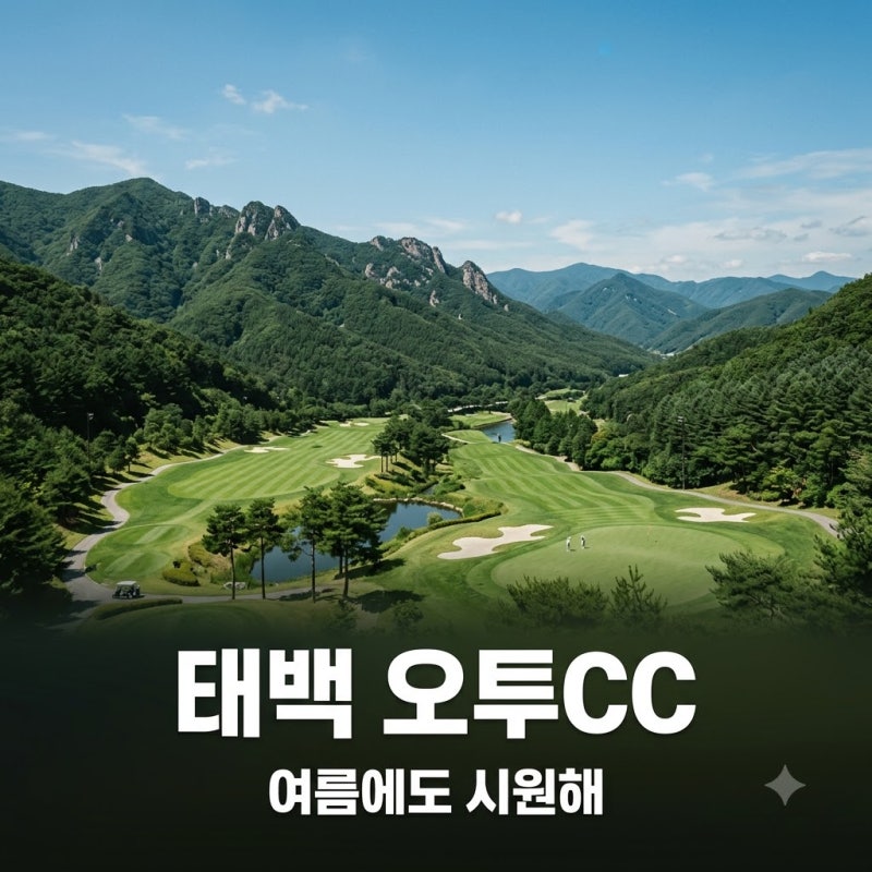 "에어컨 튼 줄 알았네.." 태백 오투cc날씨 보고 깜짝 놀란 이유