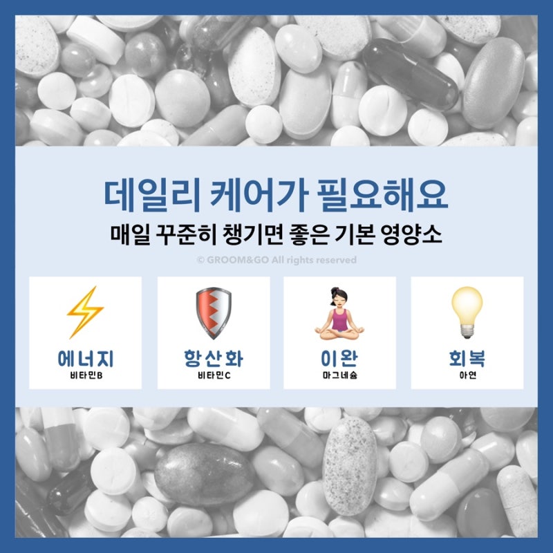 데일리 영양제 추천 | 매일 꾸준히 챙기면 좋은 영양제 4가지