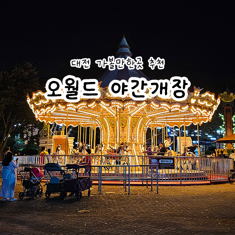 대전 오월드 야간개장 입장료 사파리 동물원 불꽃놀이 시간 총정리