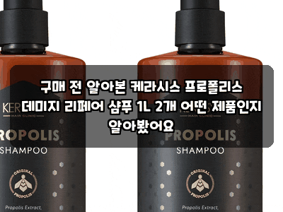 구매 전 알아본 케라시스 프로폴리스 데미지 리페어 샴푸 1L 2개 어떤 제품인지 알아봤어요