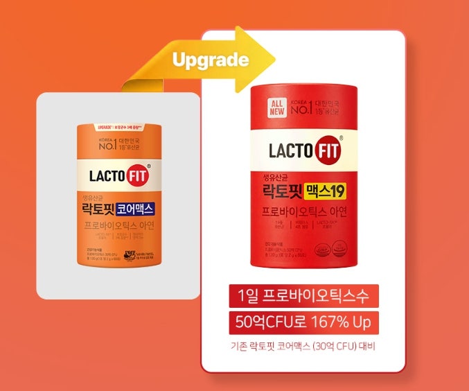 락토핏 맥스19 프로바이오틱스 유산균 롯데홈쇼핑 내돈내산 한 달 복용 솔직 후기
