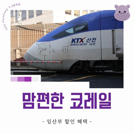 임산부 SRT, KTX 예약 방법 | 맘편한 코레일, 무려 30-40%할인! | 사라지는 SRT