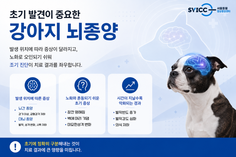 강아지 뇌종양 치료 준비하고 계신가요?