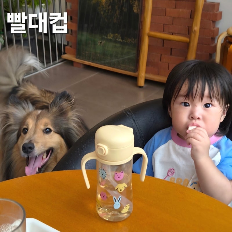 돌아기 빨대컵 사용시기, 6개월부터 단계별 연습순서