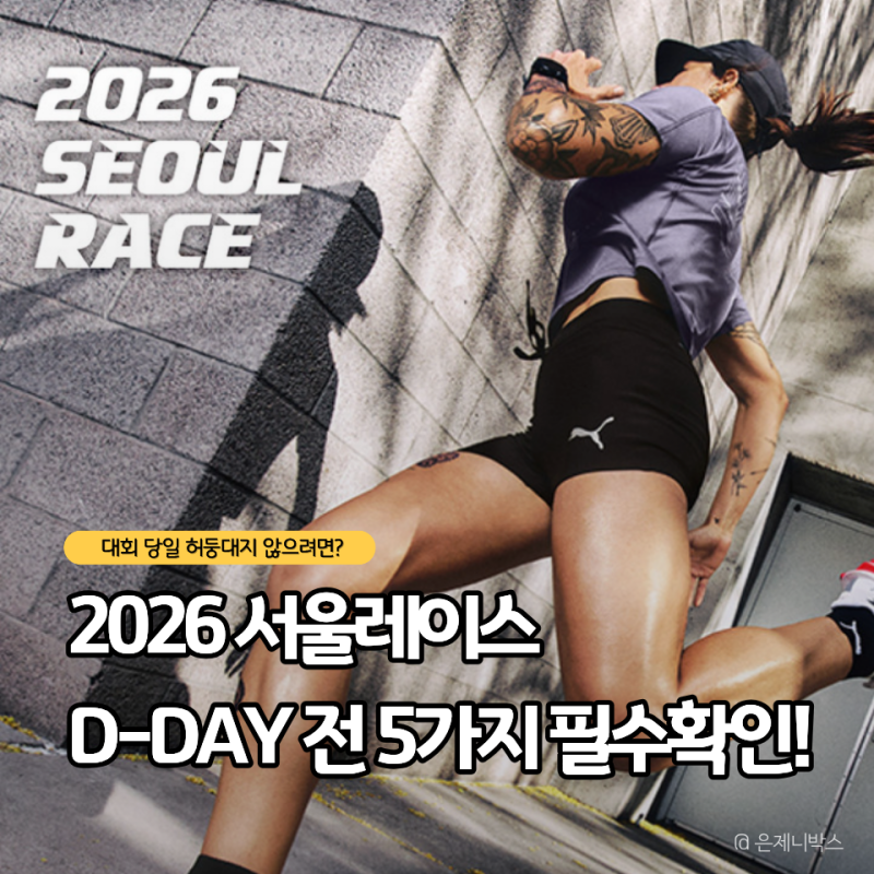 2026 서울레이스 일정, 하프 11K 코스 참가 전 확인할 5가지