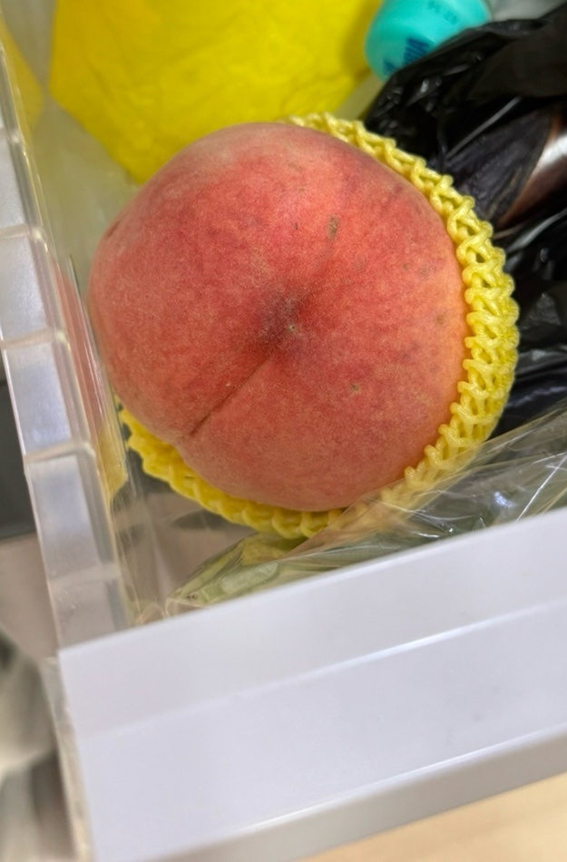 여름철 복숭아 오래 보관법 냉장고에 그냥 넣으면 안되는 이유