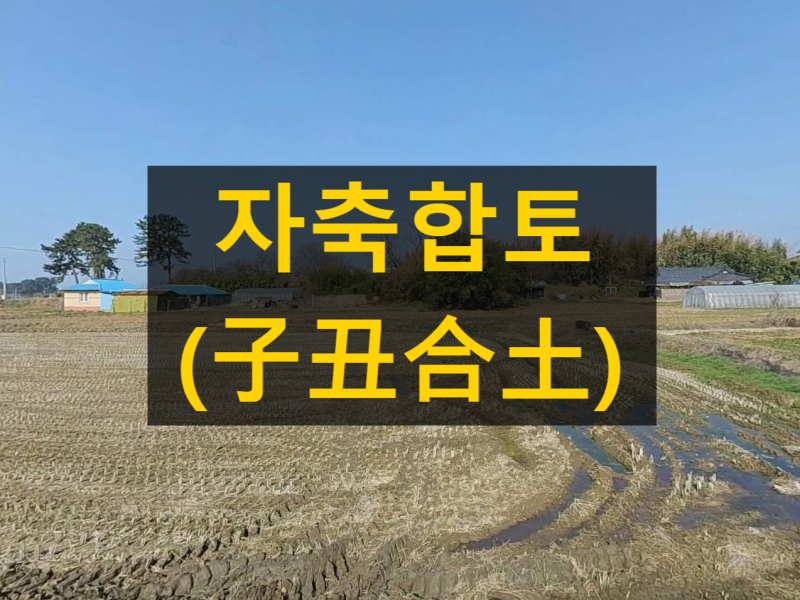 자축합토(子丑合土)란 무엇인가