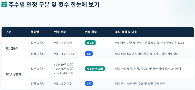 임신초기 병원비 얼마나 들까?｜실제 산부인과 진료비 내역 (초음파 보험 적용 횟수)