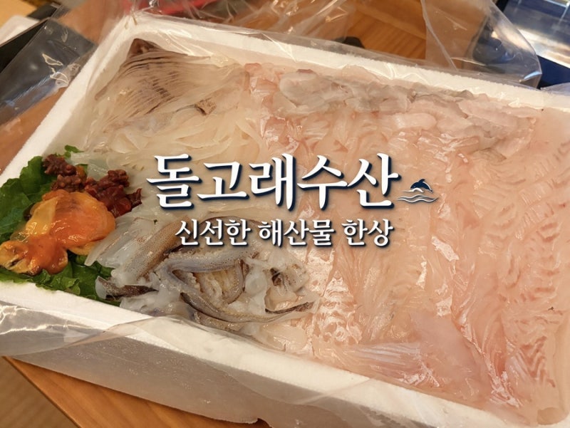 대천항 수산시장 돌고래수산 49호｜광어회포장 솔직 후기(인어교주해적단 제휴업체)