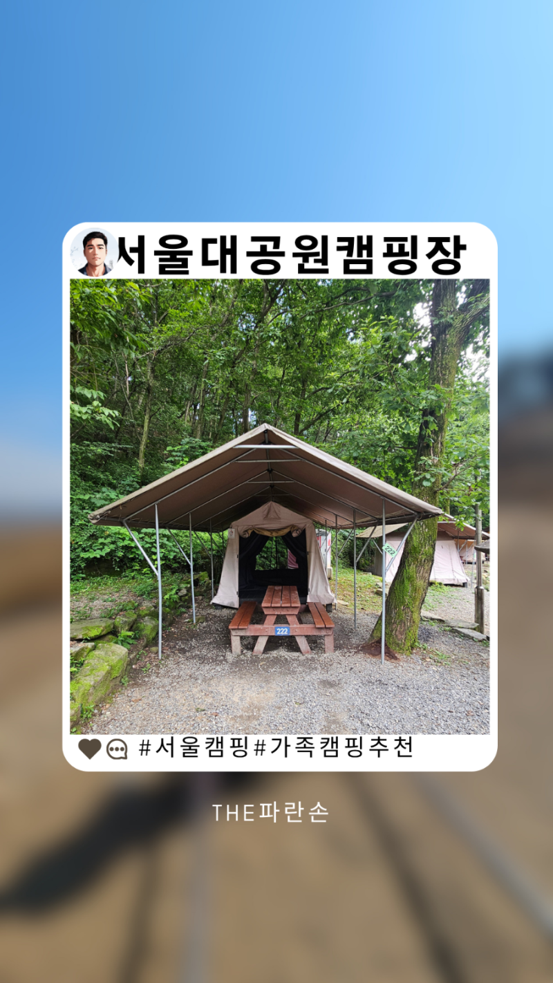 서울대공원 캠핑장 아이와 1박 후기 계곡 물놀이부터 전동카트까지