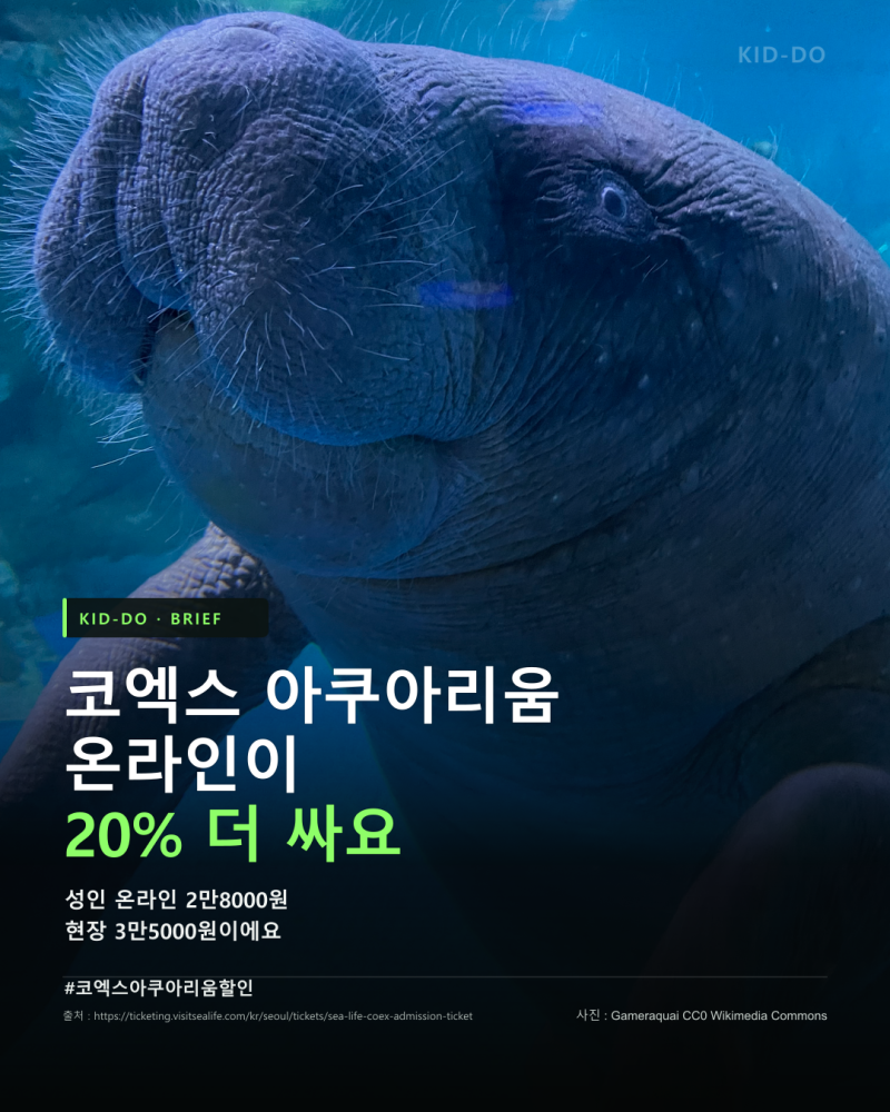 코엑스 아쿠아리움 데이트 예매하기 전에 할인부터 확인했어요