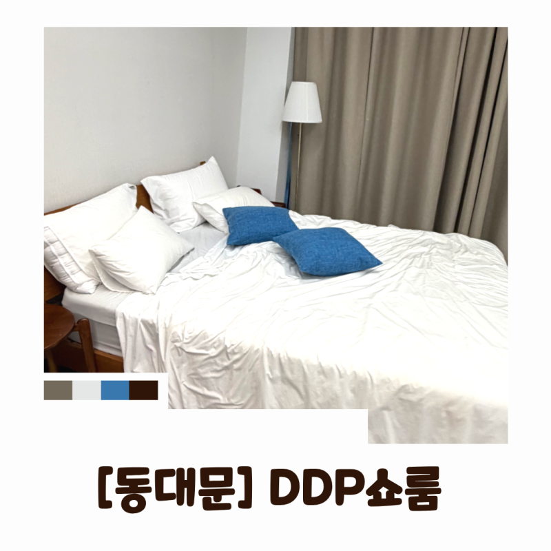 서울 무료스튜디오 DDP쇼룸 예약 및 스튜디오B 호텔 패션촬영 후기