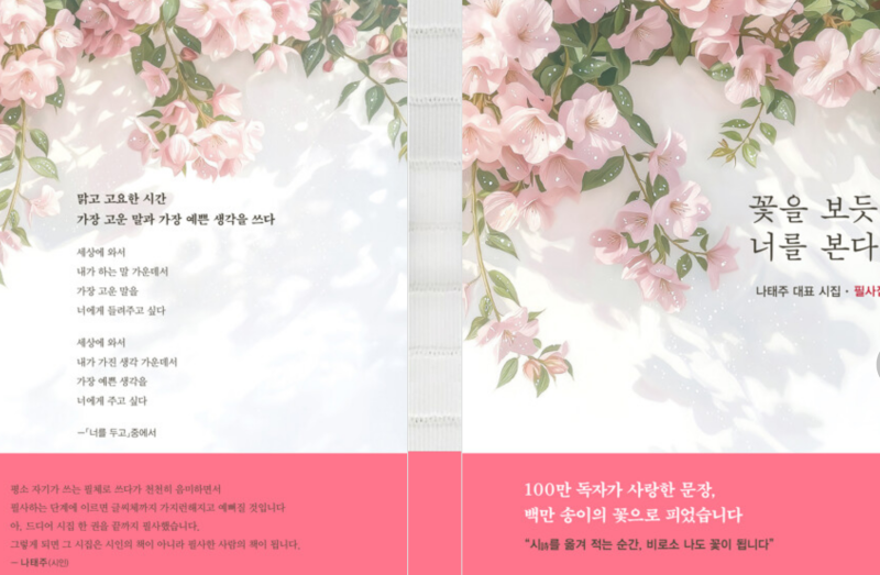 10대 필사하기 좋은 책 4권, 나태주 시집부터 숨어있는 좋은 필사집까지