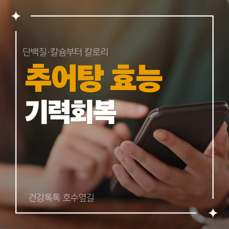 추어탕 효능은? 단백질·칼슘부터 칼로리와 먹는 법까지